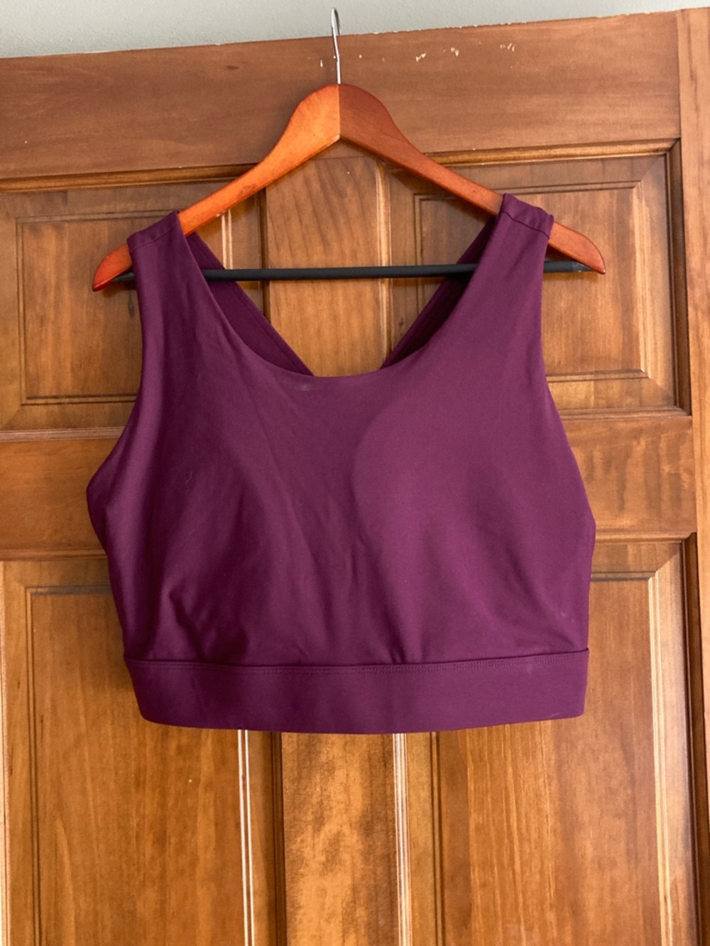 Fabletics Plum Sports Bra